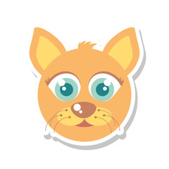 cat mascot cartoon isolated icon vector illustration design