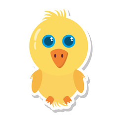 chicken little animal farm isolated icon vector illustration design