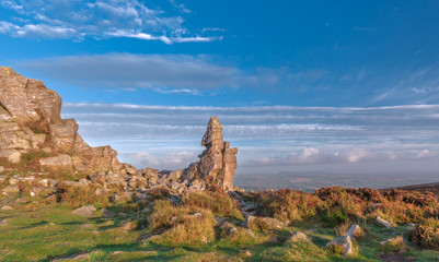 Beautiful Rocks Among Heather Flowers in Warm Autumnal Sunrise Light