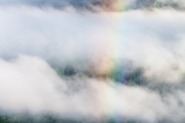 Rainbow Against Misty Forest