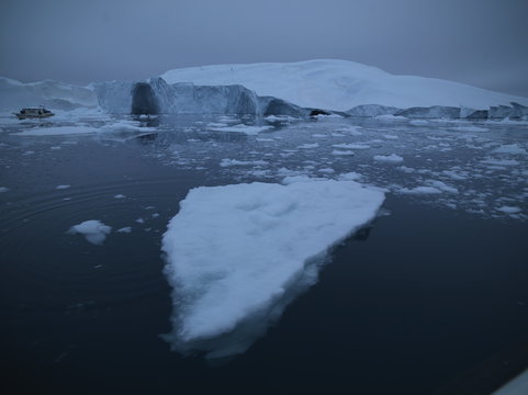 icebergs are on the arctic ocean