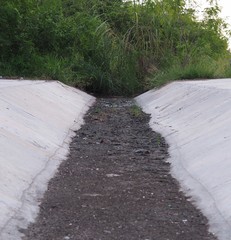 Dry  drainage waterway with black soil