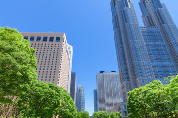 Fototapeta premium 新緑のビジネス街 東京