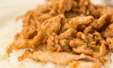 Close up Fried sliced pork with garlic on rice