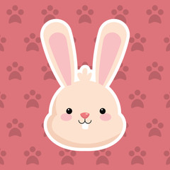 Fototapeta premium rabbit with pattern background image vector illustration design 