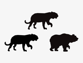 big cats and bear sihouette icons image vector illustration design 