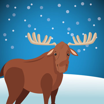 cute moose wit snowy background image vector illustration design 