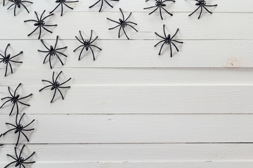 Many black spiders on the white wooden boards. Background for Ha