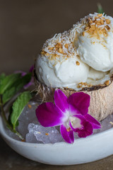 Coconut Ice Cream Dessert