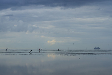 Wattwandern in Cuxhaven