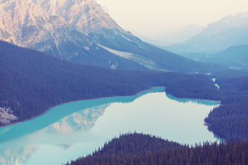 Peyto lake