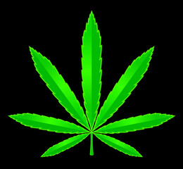 Medical marijuana. Cannabis .