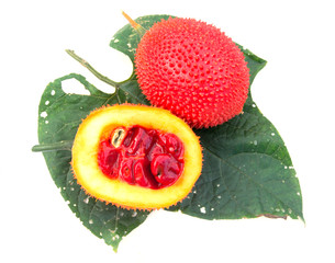 Momordica cochinchinensis