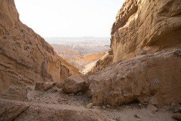 Desert landscape