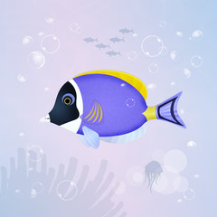 surgeonfish in the aquarium