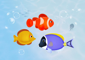 various fishes in the ocean