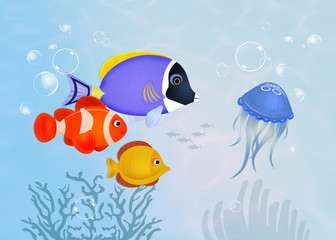 Fototapeta premium fish on the reef