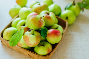 Basket full of fresh harvested apples