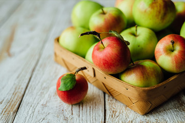 Basket full of fresh harvested apples