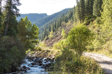 Fototapeta na wymiar Mountain landscape with river
