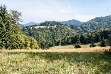 mountain meadow with isolated trees, hills on the background and blue sky in Velka Fatra mountains in Slovakia