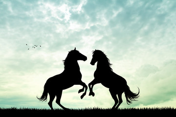 horses in love at sunset