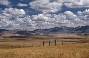 Fototapeta premium A wide steppe with yellow grass on the Ukok plateau near the border with Mongolia, under a cloudy sky on the background of mountain ranges, Altai mountains, Siberia, Russia