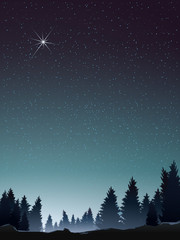 Fototapeta premium pine wood perspective when starry night