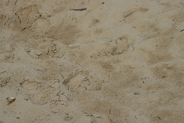 Strandurlaub in Cuxhaven an der Nordsee