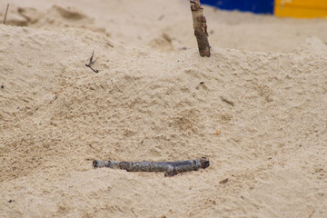 Strandurlaub in Cuxhaven an der Nordsee