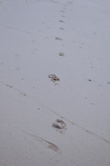 모래사장과 발자국(Sandy beach and Footprints)