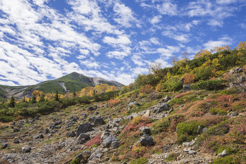 初秋の乗鞍岳位ヶ原