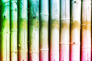 Reed - Bamboo Colorful Abstract Background