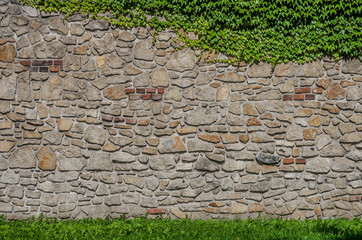 Medieval limestone wall overgrown with ivy