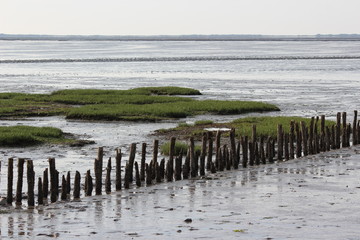 Wattenmeer
