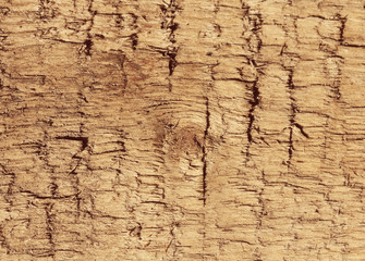 текстура дерева фон © Anna81