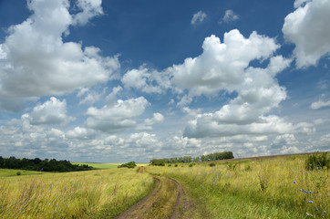 Summer landscape.Countryside road in the meadow