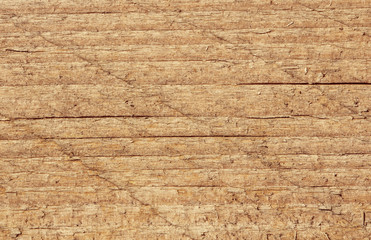 текстура дерева фон © Anna81