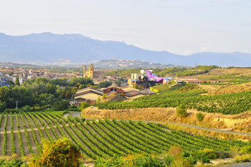 Fototapeta na wymiar la rioja field landscape and marques del riscal winery