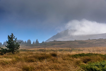 Amazing autumn landscape at Vitosha mountain, Sofia, Bulgaria with bright orange sunlit dry grass in the foreground and beautiful white clouds moving fast over the mountain peak