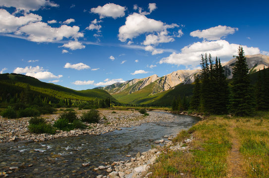 Alberta Foothills