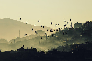 Sis ve Şehir