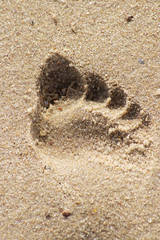 Spuren im Sand