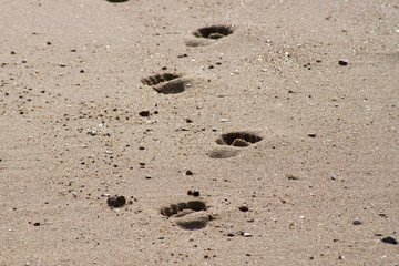 Spuren im Sand