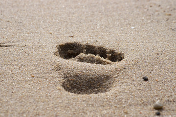 Spuren im Sand