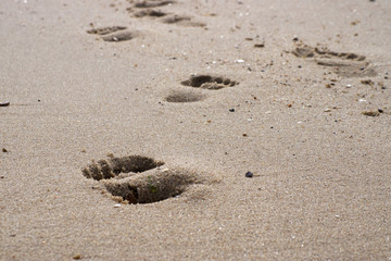 Spuren im Sand