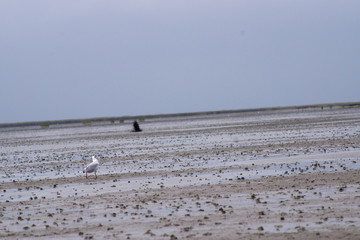 Nordsee bei Cuxhaven