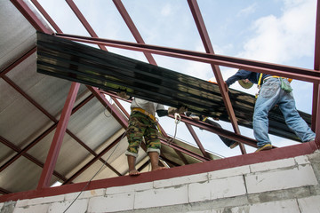 Roofing construction workers  install metal sheet on the roof.