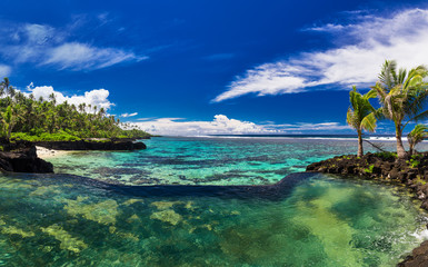Natural infinity rock pool with palm tree over tropical ocean la