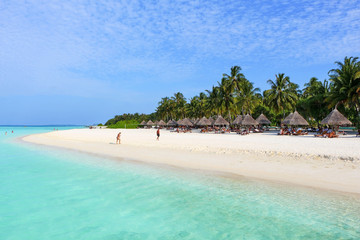 white beach with coconut palms and bungalows on the Maldives